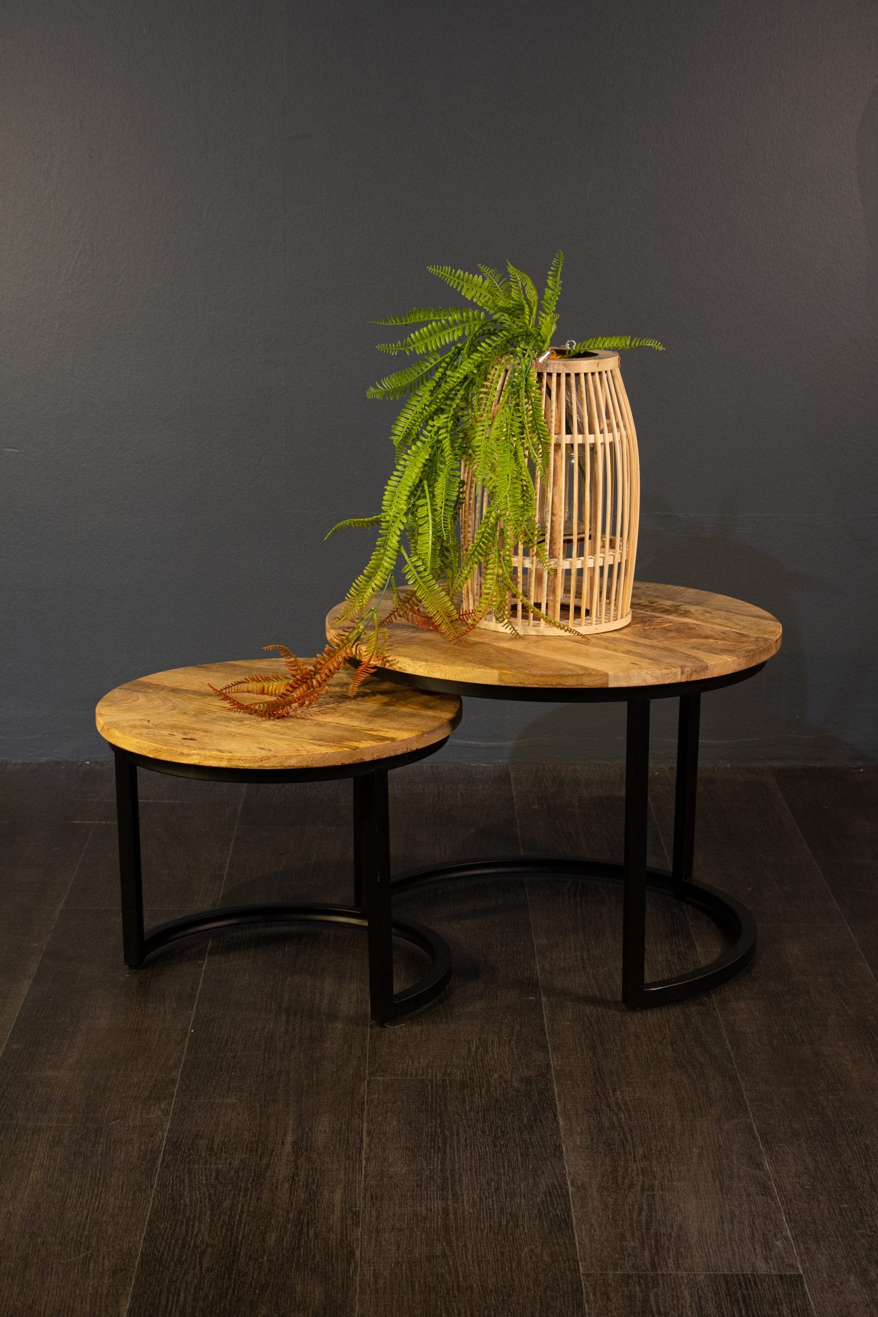 Salontafel Set van 2 Rond – Mangohout – Industrieel - Afbeelding 2